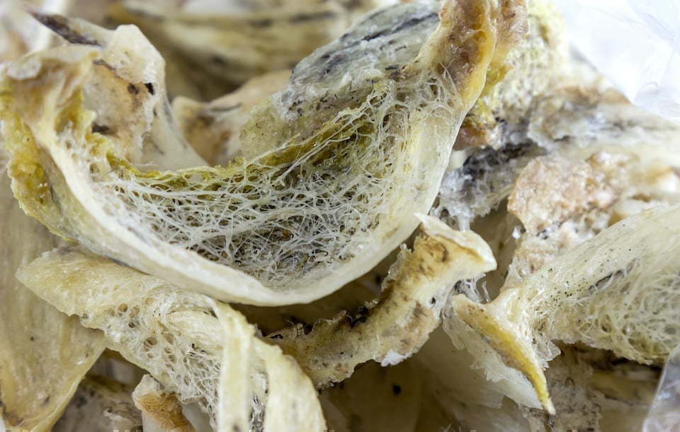 アナツバメの巣(洗浄前)